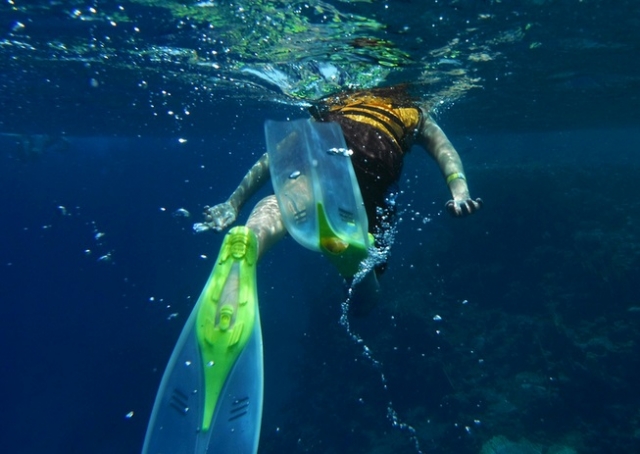 explorando el mar